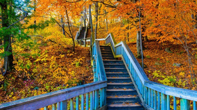 gatineaupark