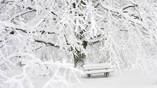 snow_bench