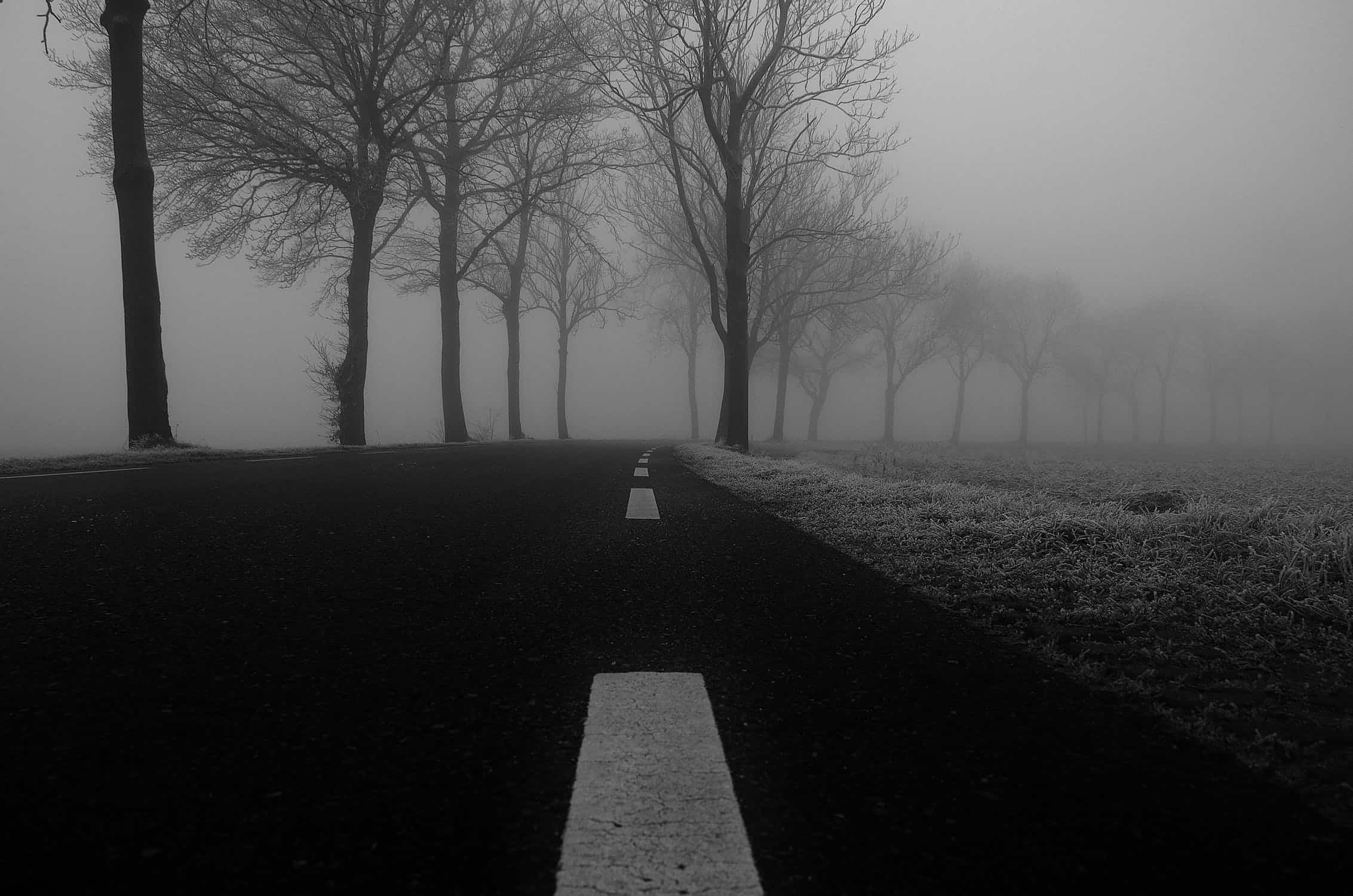 cold-snow-black-and-white-road