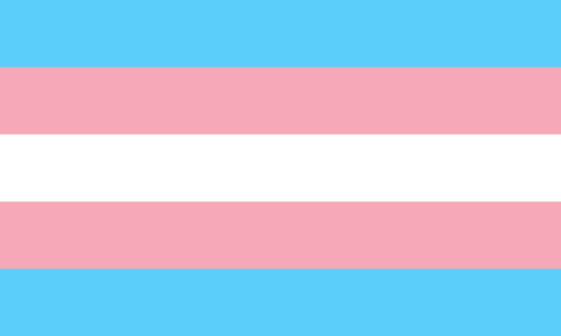 512px-transgender_pride_flag