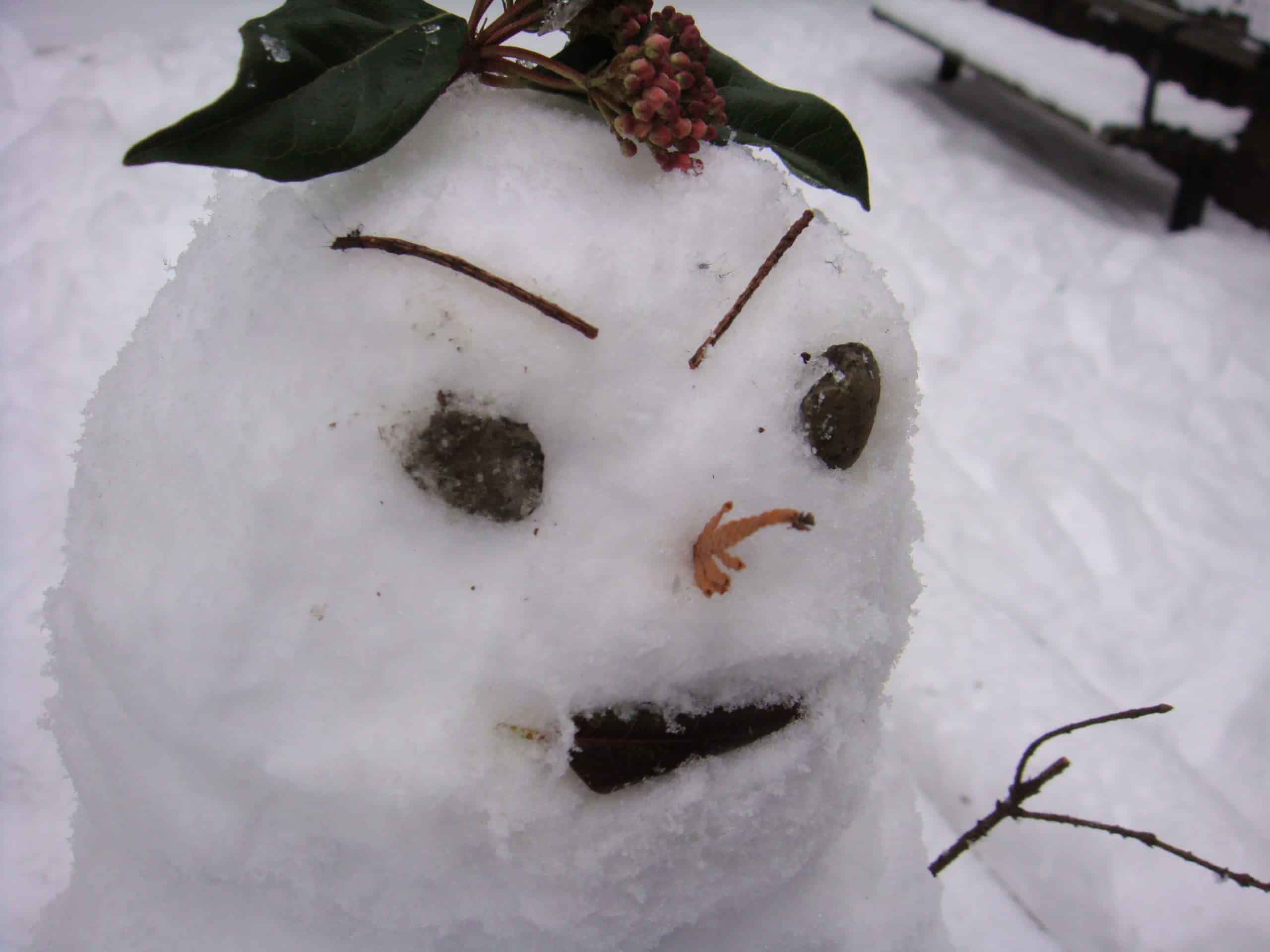 angry_snowman