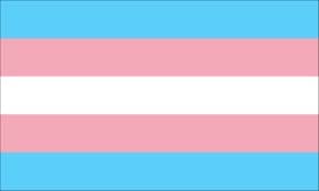 transgender_flag_1