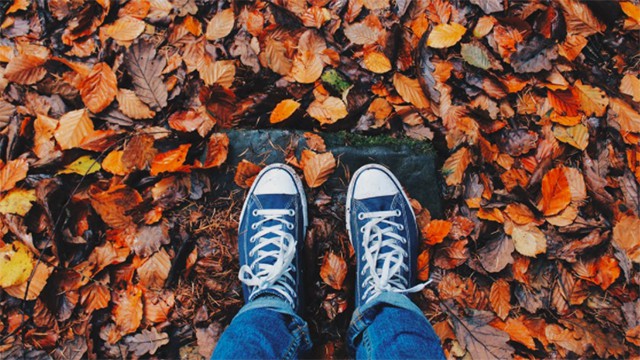 fall hikes selfie spots brampton