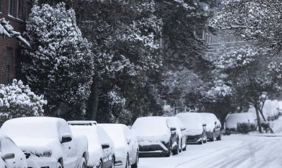 Ongoing 311 complaints marked ‘resolved’ a frustration for Brampton residents, councillors say