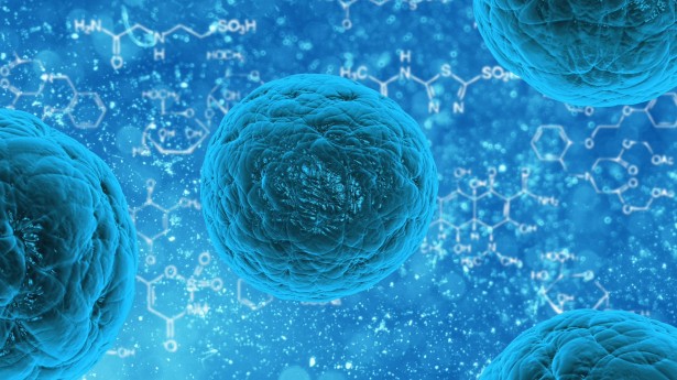 stem_cells