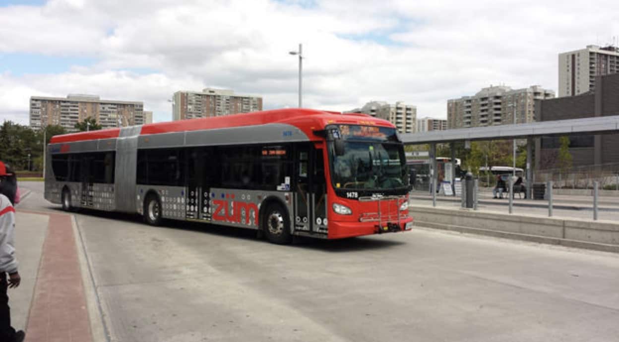brampton transit students routes schedule