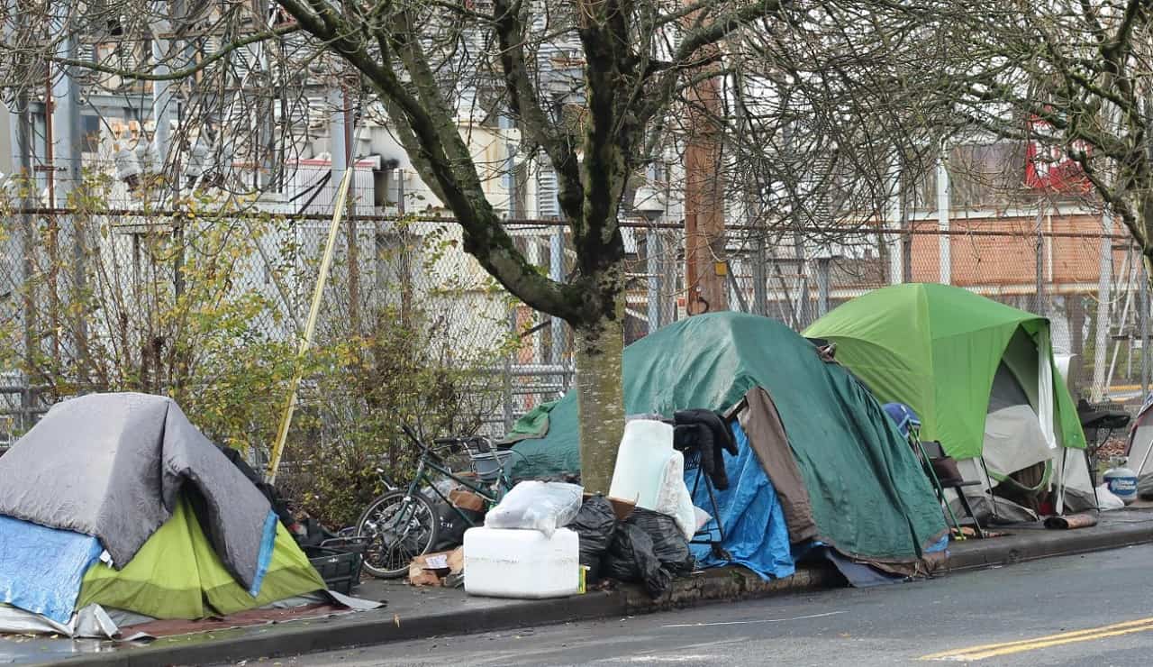 hamilton police budget andrea horwath defund protest city council debate coast crisis unit homeless shelters encampments addictions mental health