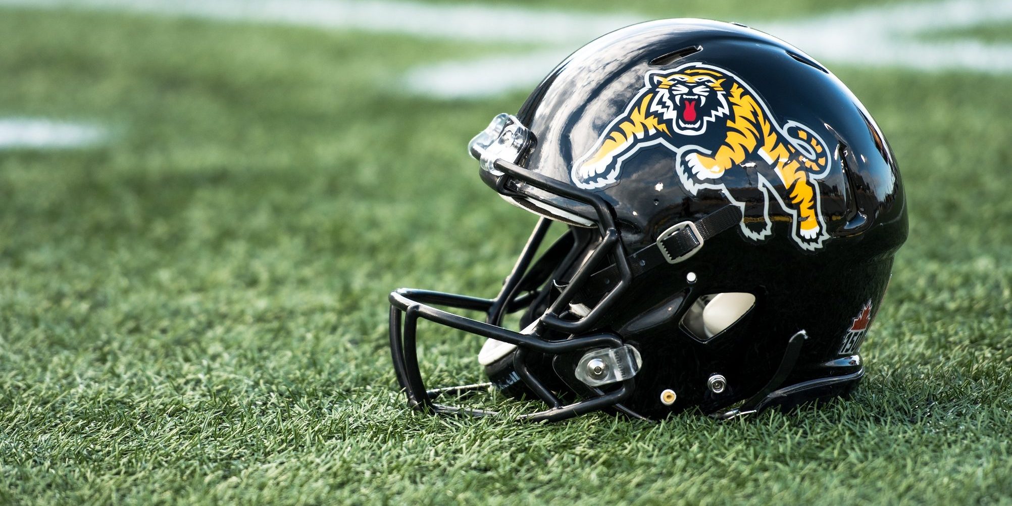 8,240 Hamilton Tiger Cats Photos & High Res Pictures - Getty Images
