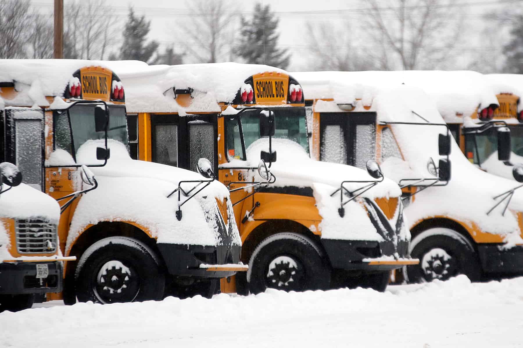 school bus snow