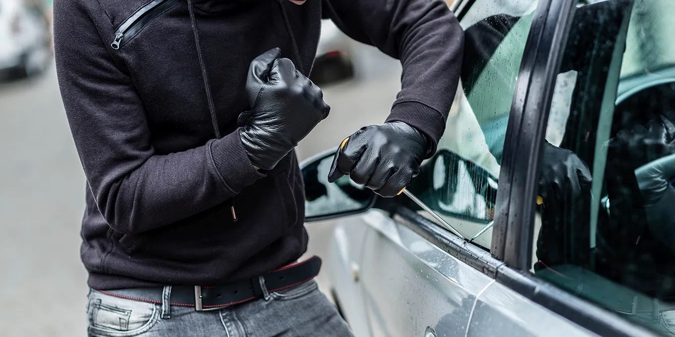 halton police annual report car theft