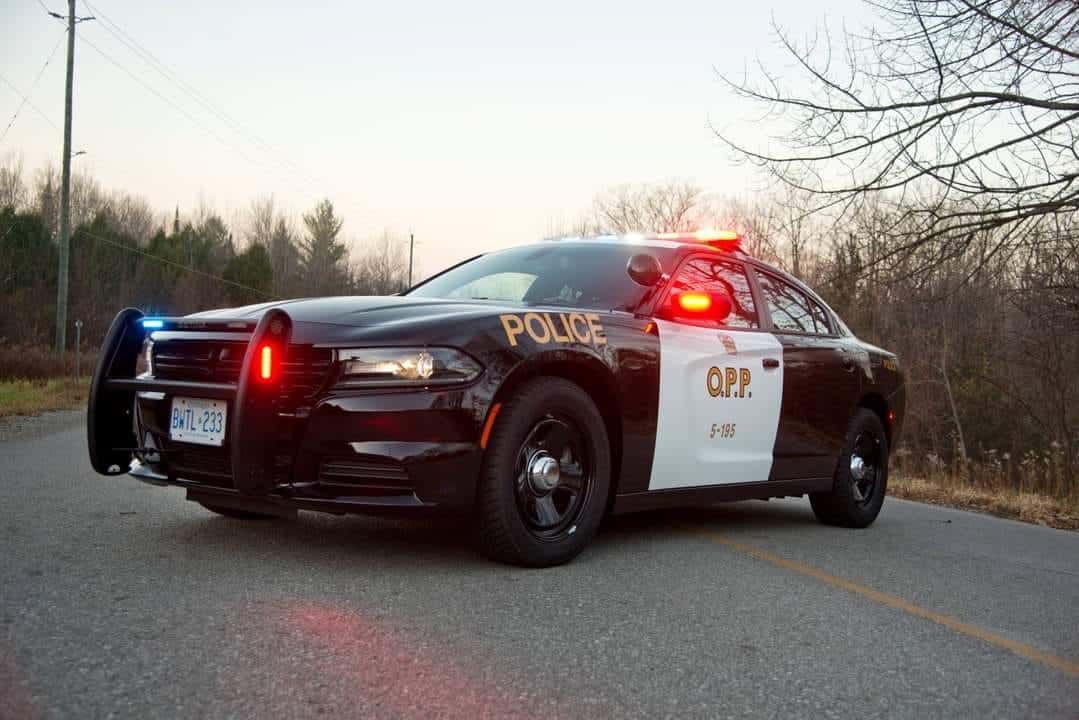 brampton charged theft over $5,000