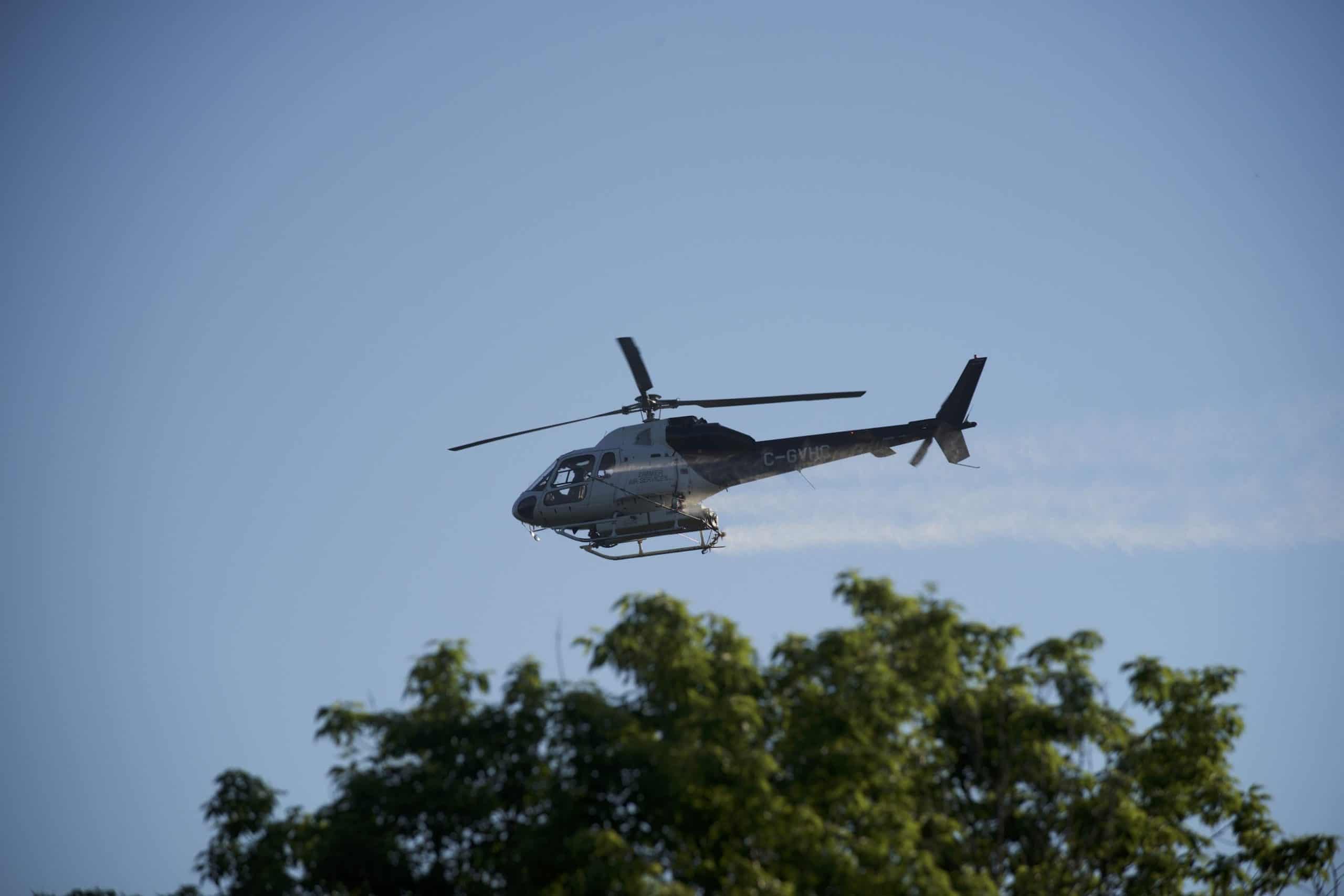 Mississauga to use helicopters this Saturday to spray tree-killing insects | inSauga