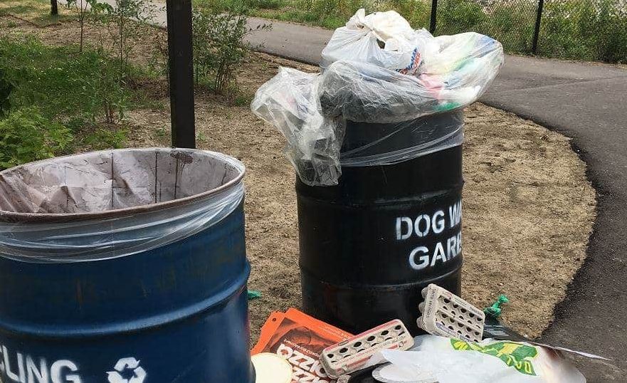Mississauga needs more trash cans to fight litter problem, councillor says