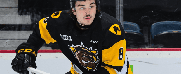 Hamilton Bulldogs centre from Mississauga nabs OHL honour