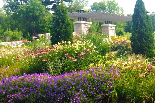 Mississauga urges residents to turn their thumbs green and celebrate gardens