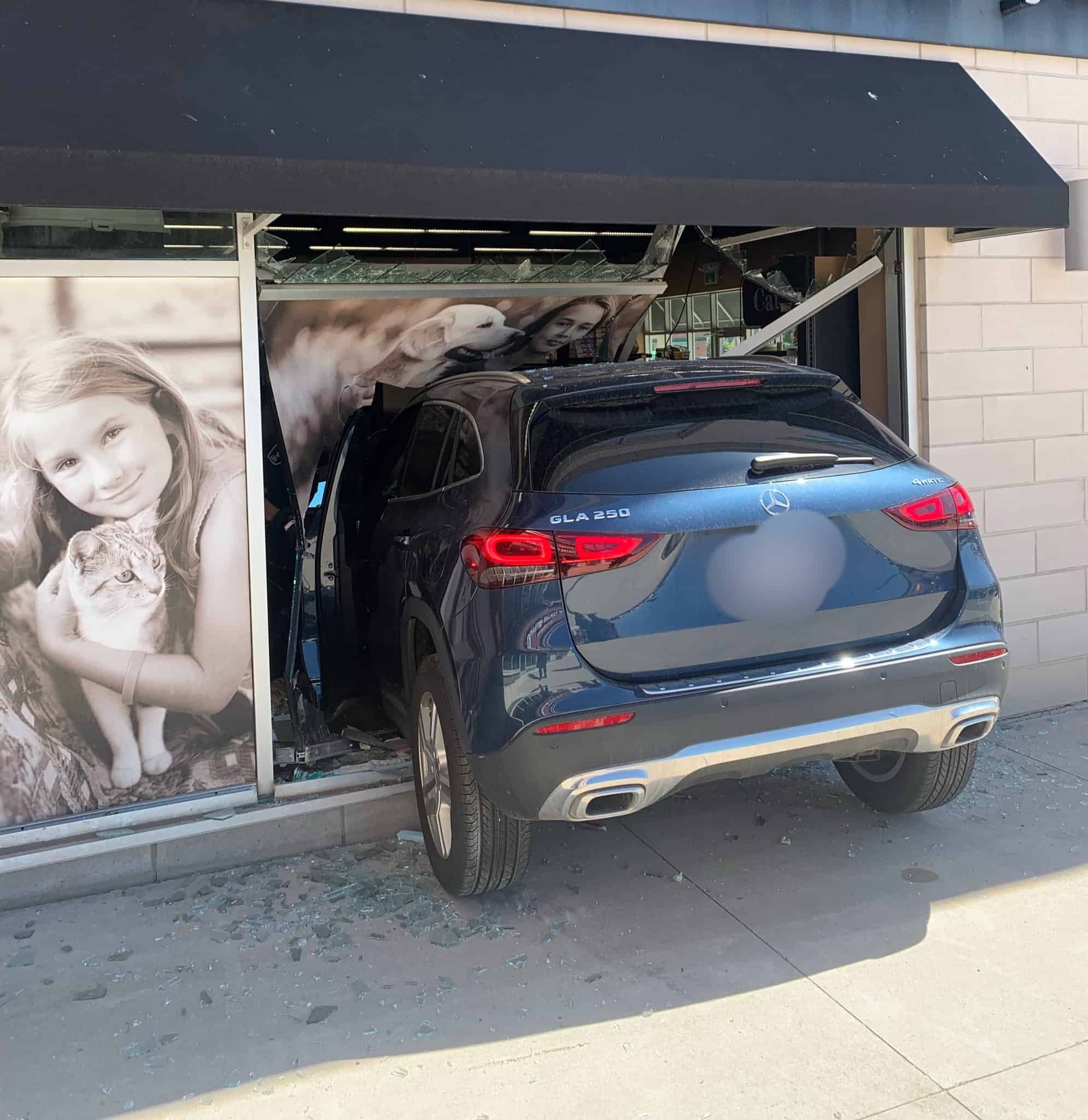 The rear-end view of a vehicle that has driven through the front window of a pet store.