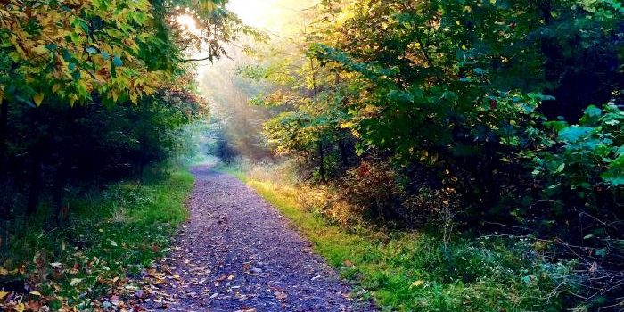 Police monitoring Hamilton trails after 2 women touched by male cyclist
