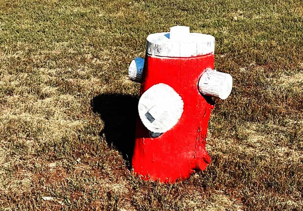 fire hydrant lakeside park