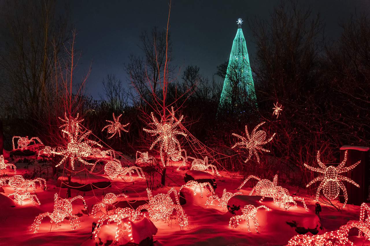 World’s biggest festival of lights in Mississauga illumi is getting spooky for Halloween