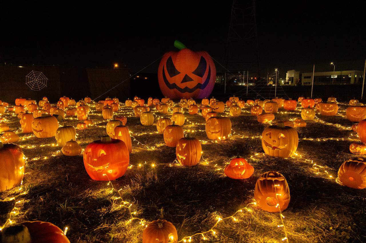Le plus grand festival de lumières au monde à Mississauga illumi devient effrayant pour Halloween