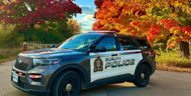 police guelph ontario LCBO thefts arrests