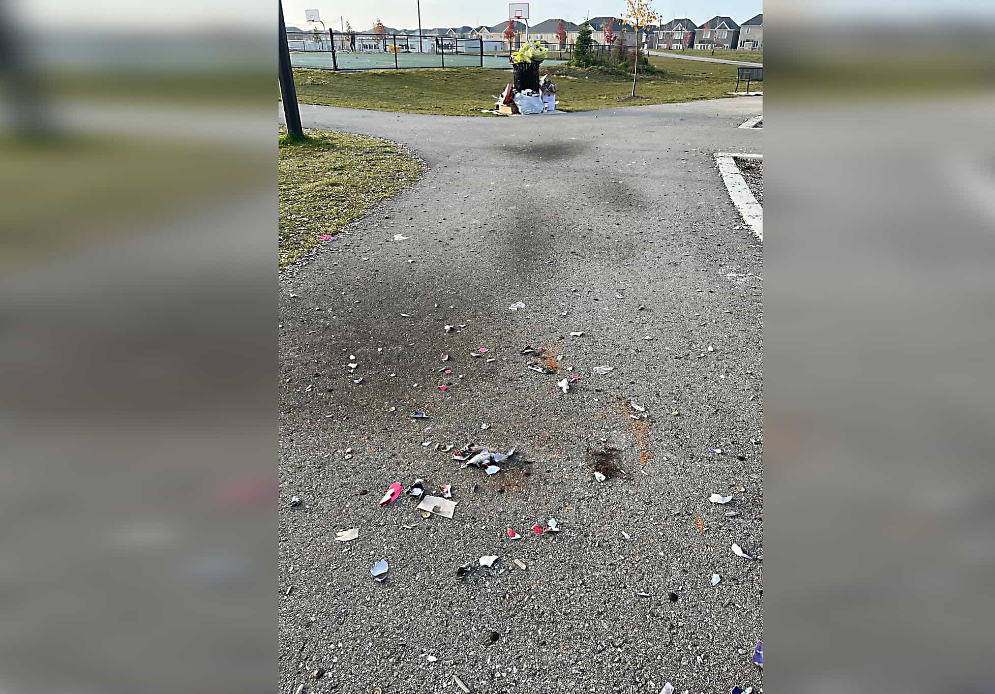 milton garbage in parks