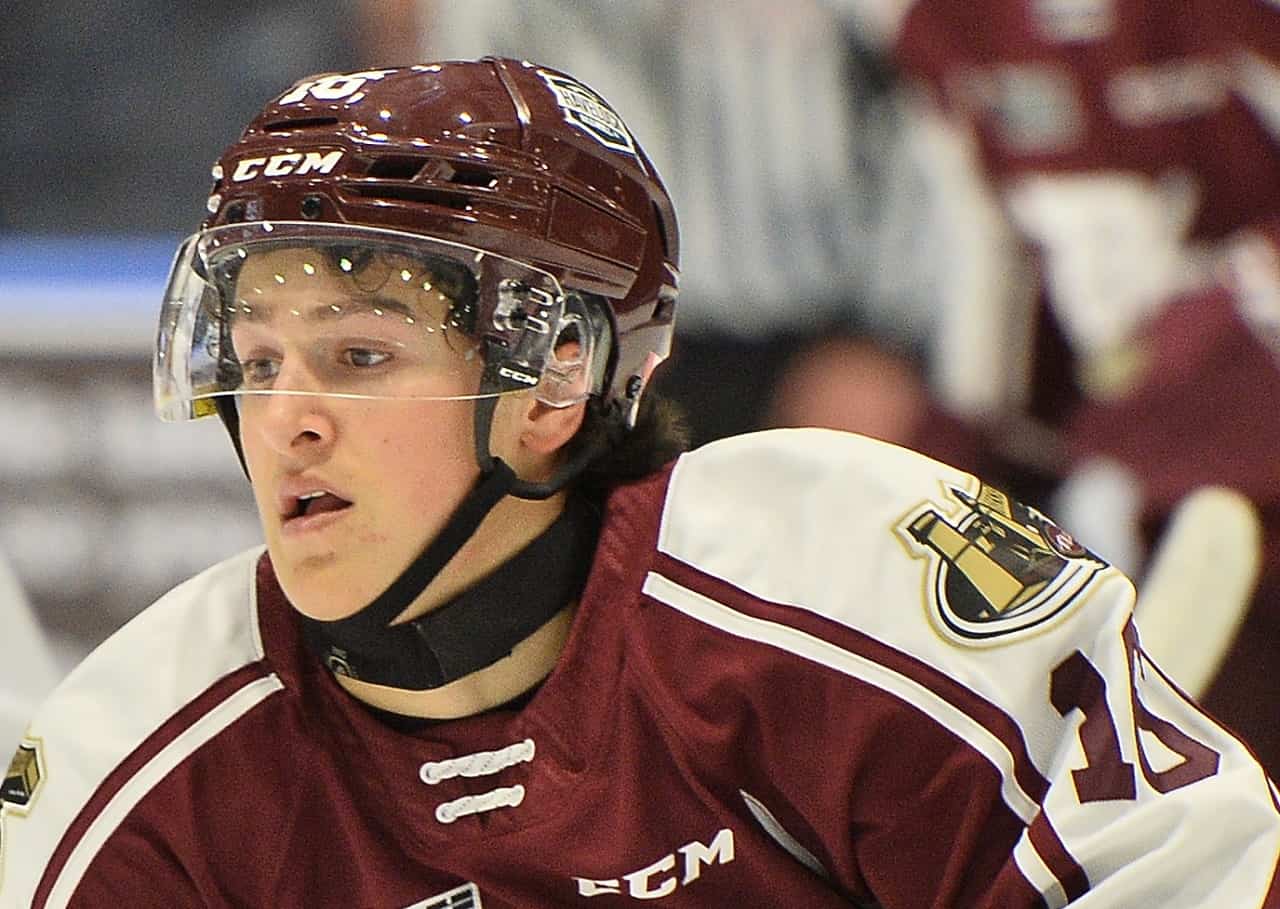 Guelph Storm acquire 2 overage players from Sarnia Sting - Guelph