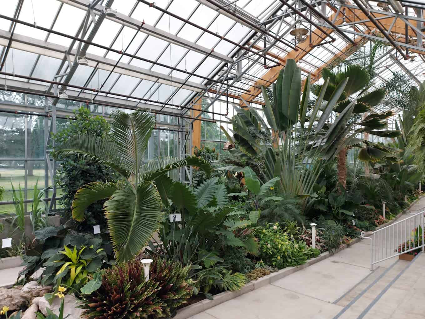 city of hamilton tropical greenhouse gage park open closed