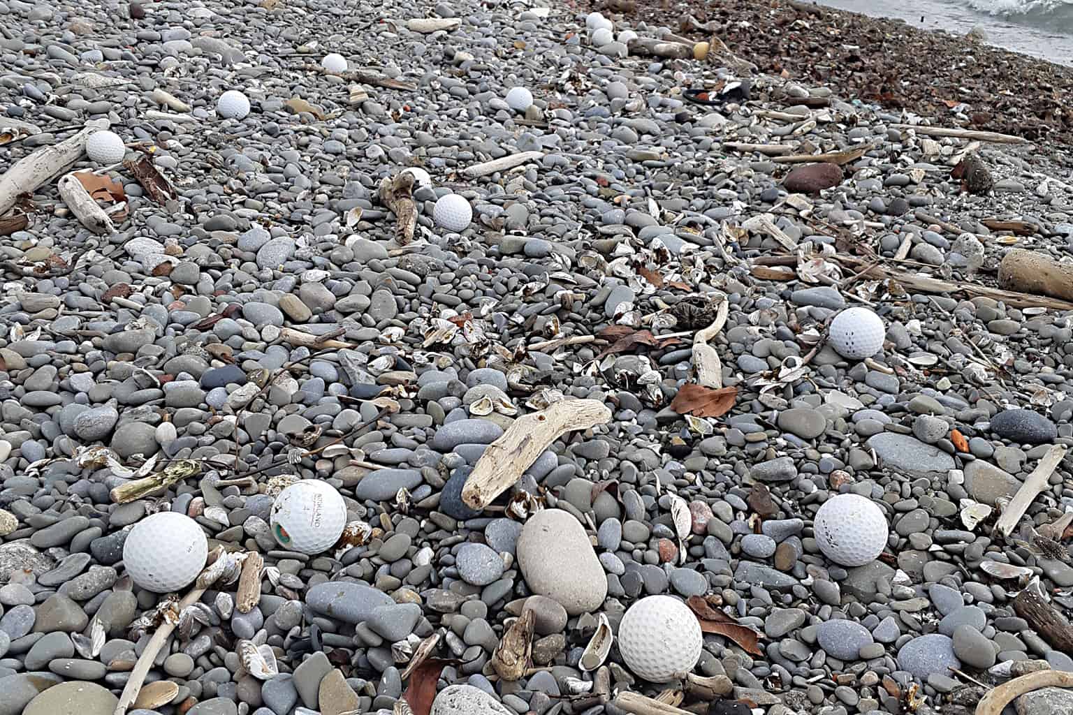 golf balls mississauga beach