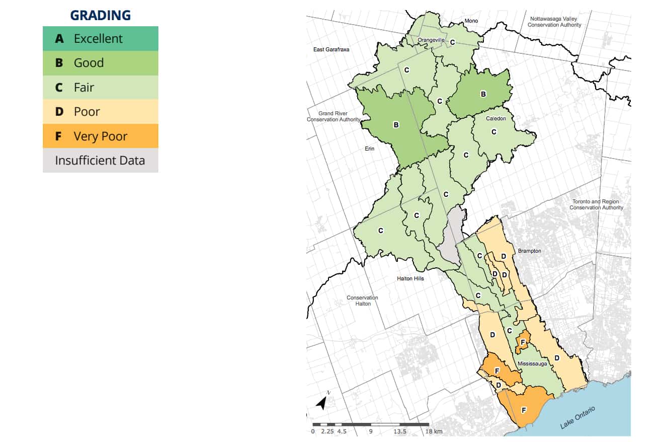 water report mississauga