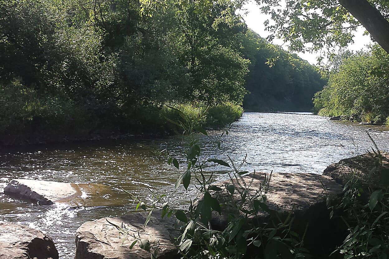 credit river mississauga