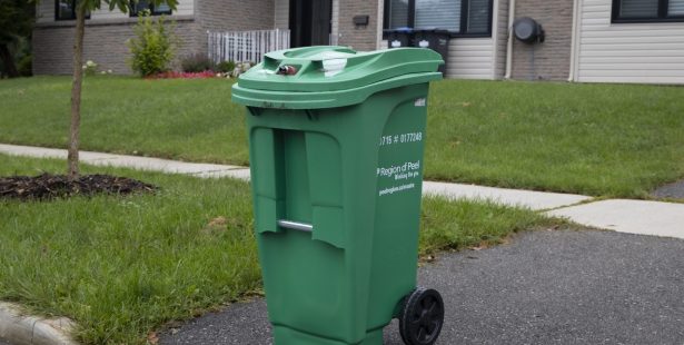 Simple ways to help make using your green bin easier in Mississauga, Brampton and Caledon
