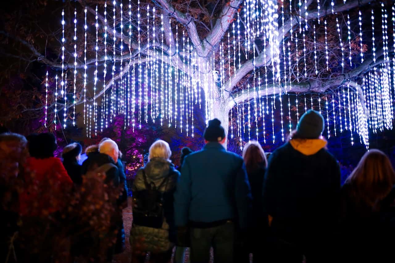 Winter wonderland of lights and music comes to Burlington's Royal