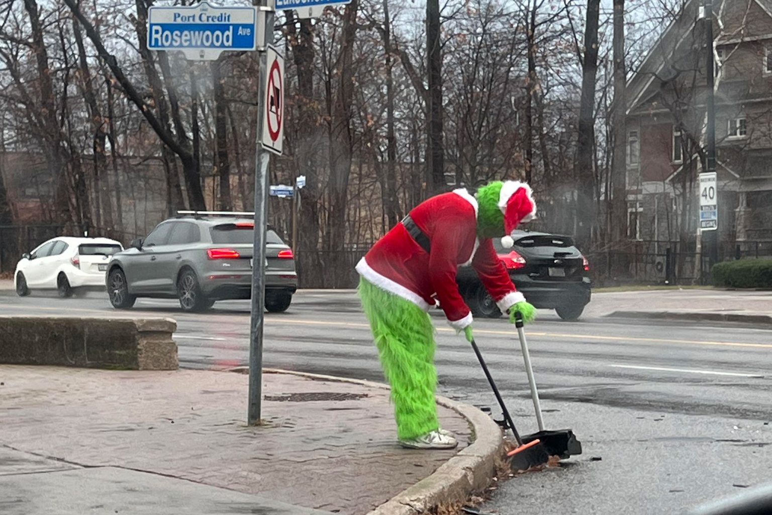 Grinch spotted cleaning up the streets in Mississauga | INsauga