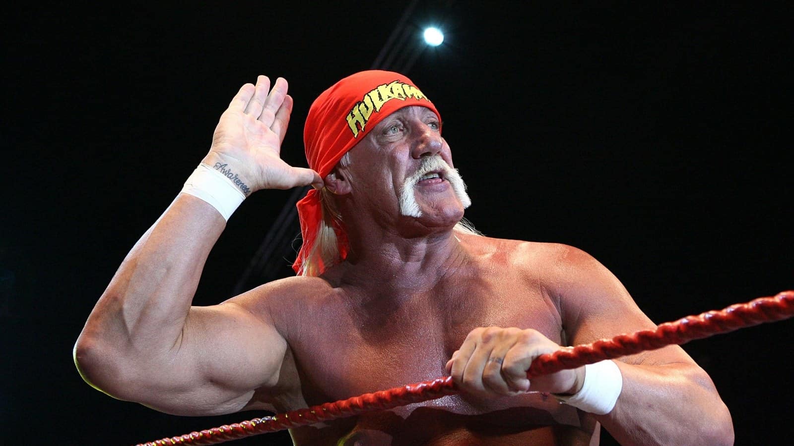 hulk hogan wrestling wwf wwe