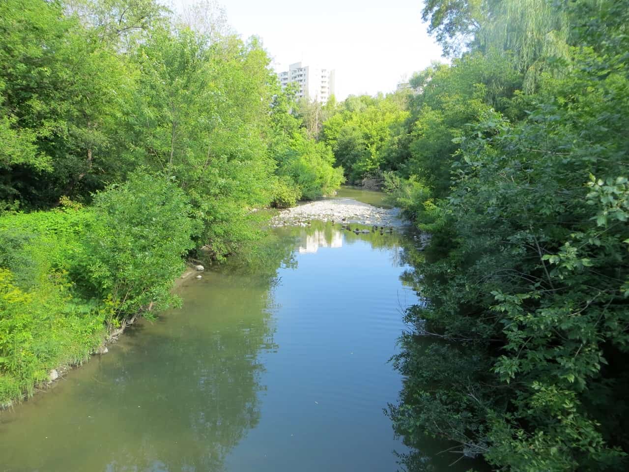 Restoring section of Cooksville Creek in Mississauga.