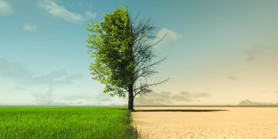 oakville climate change report sheridan