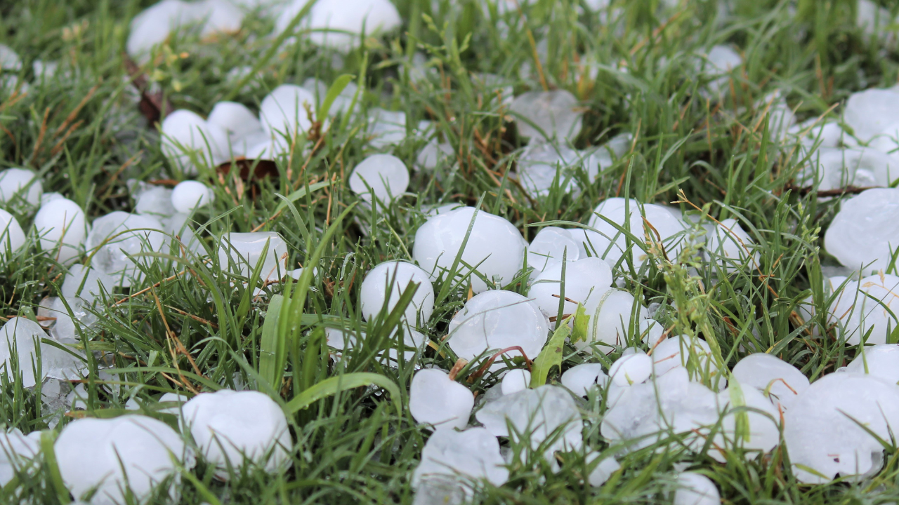 snow and ice pellets in some parts of southern Ontario today