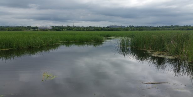 Second Marsh