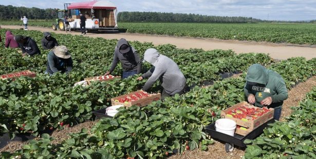 ontario pay migrant workers