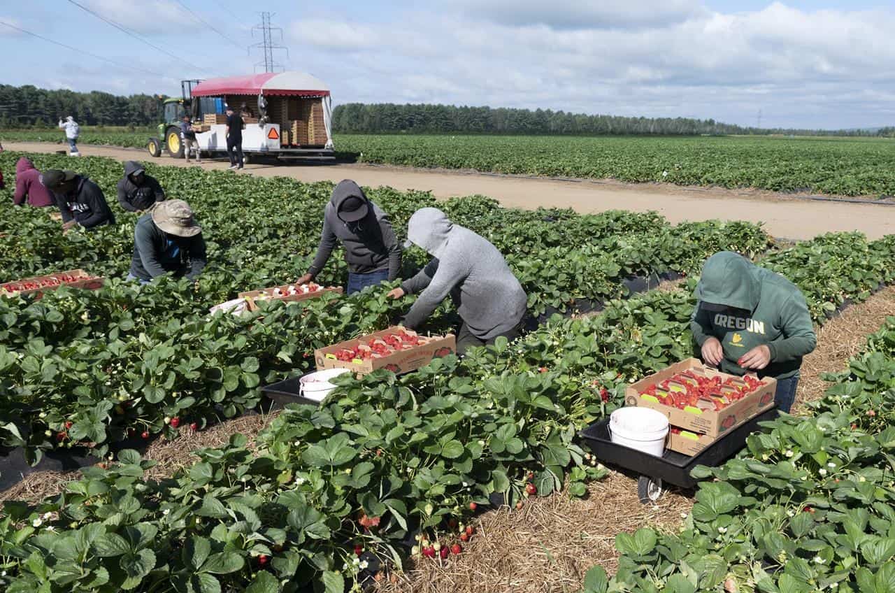 ontario pay migrant workers