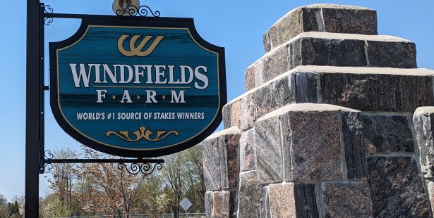 windfield farms