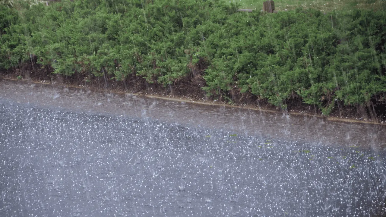 Nickel sized hail; Severe weather warning in effect in South Ontario