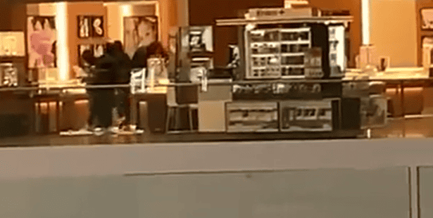 VIDEO: Thieves target jewelry store at Erin Mills Town Centre in Mississauga