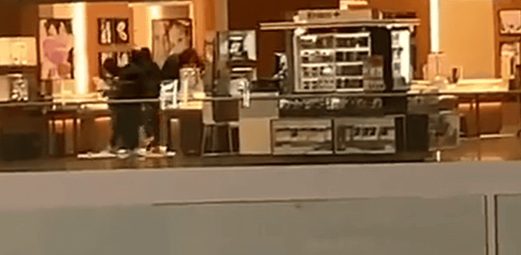 VIDEO: Thieves target jewelry store at Erin Mills Town Centre in Mississauga