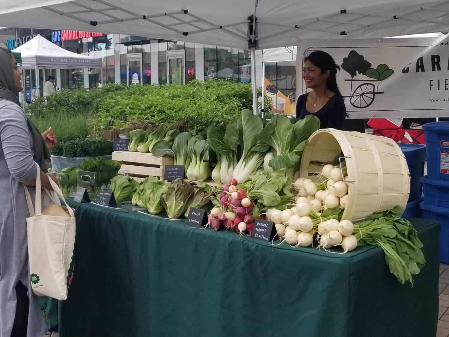 Ontario, Mississauga, Erin Mills, farmer's market, closed, not-for-profit, community