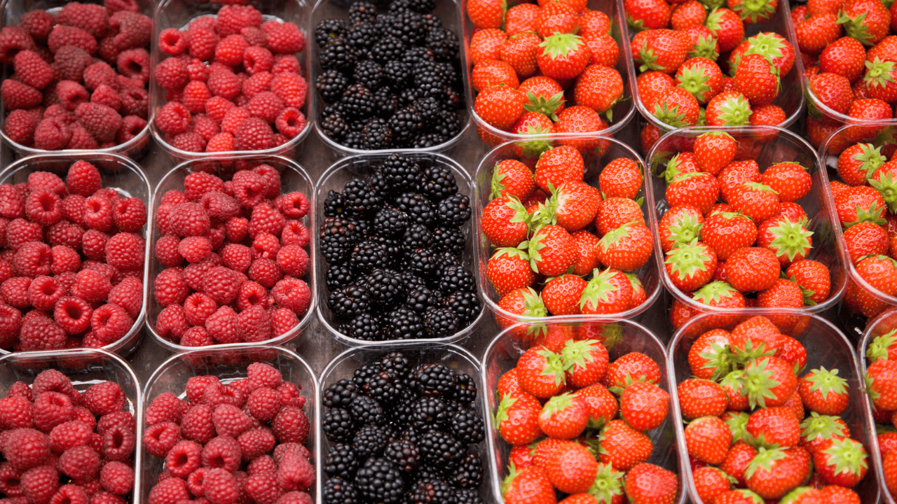 brampton farmers market fruit vegetables