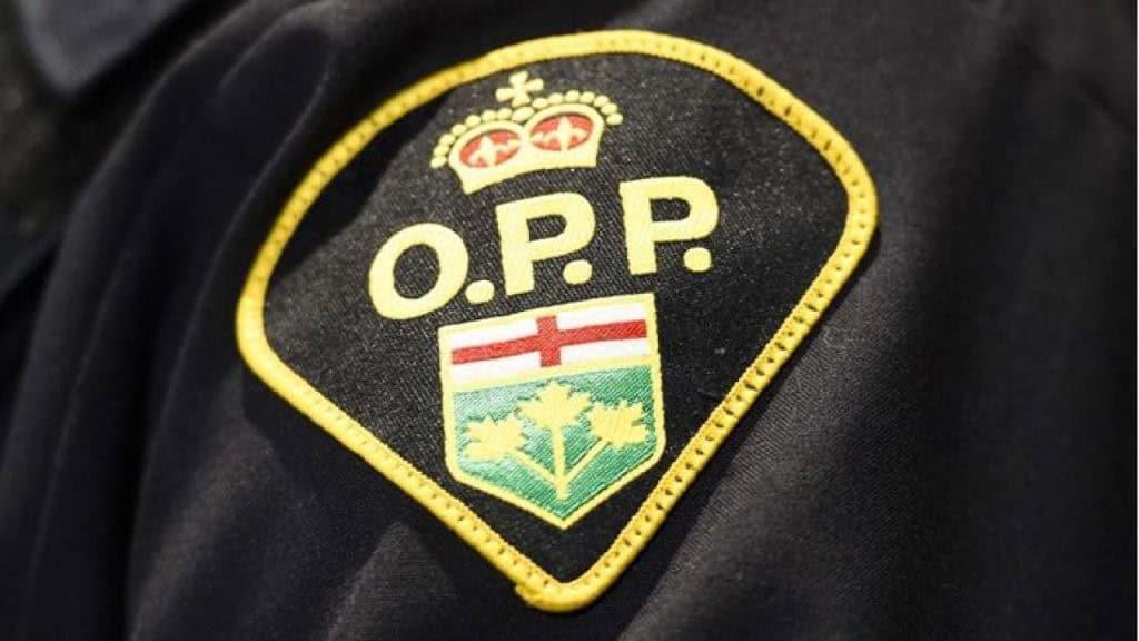 OPP investigating rocks are being thrown at vehicles after severe crash: video
