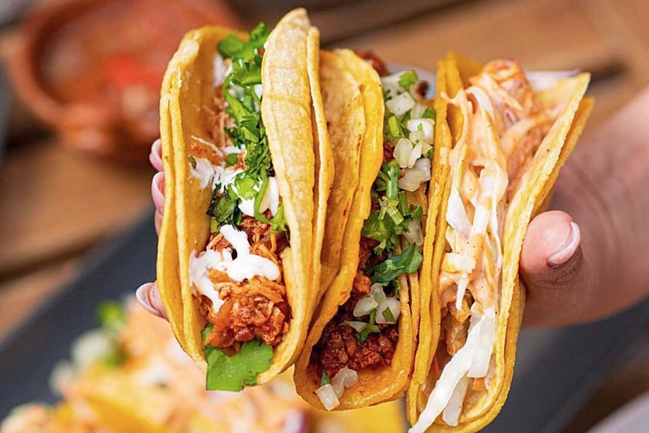 molkagtez mexican cuisine mississauga