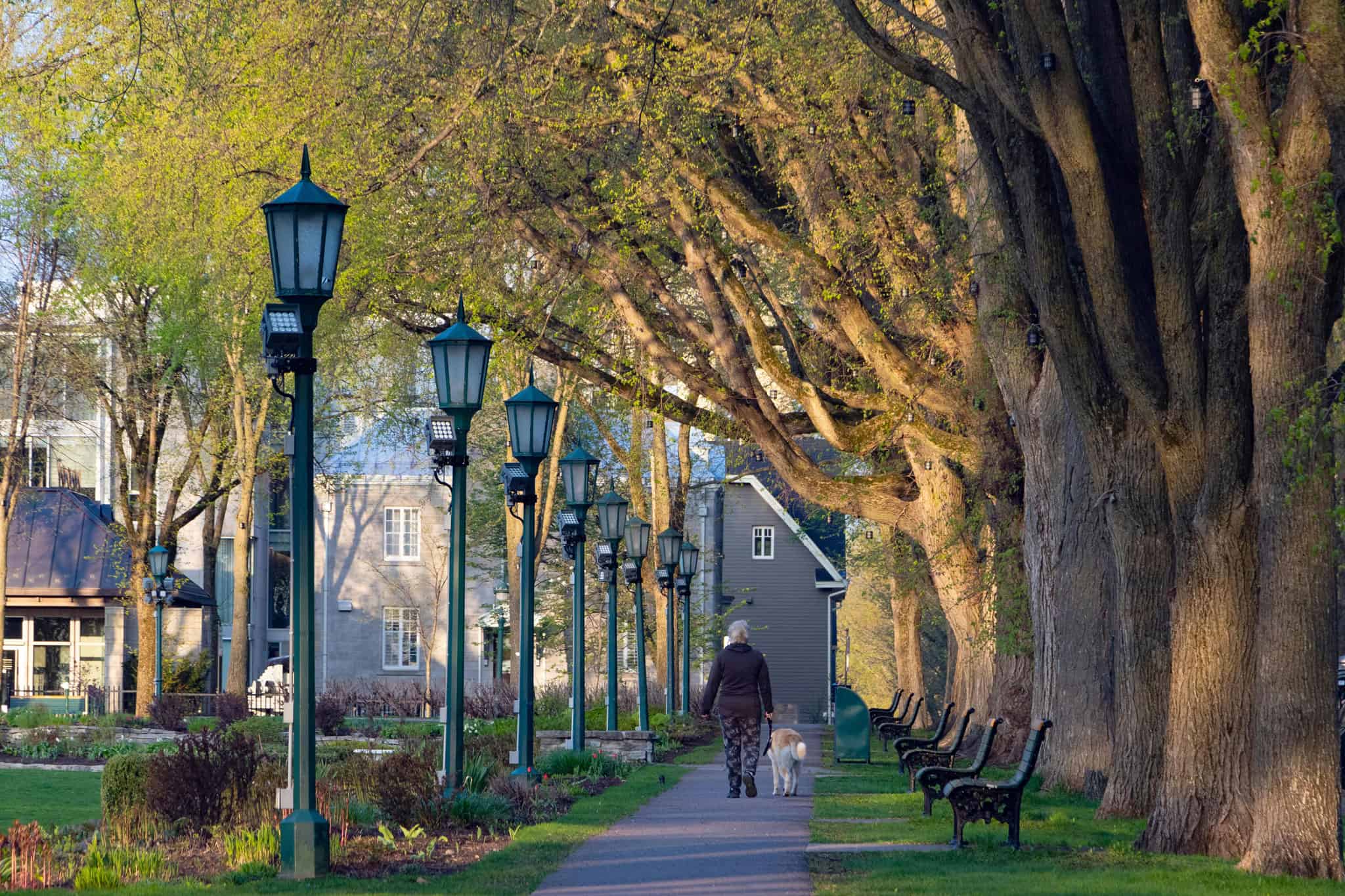 home price increase 10 cities canada